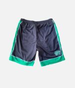 Adwysd Court Short Green